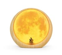 Agwuoetr Moon Lamp for Living Room Decoration Night Light, for, Mr & Mrs Signs for Wedding Table Decor Easy Install