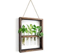 Agwuoetr Wall Mounted Hanging Plants Test Tube Flower Bud Glass Terrarium Wooden Frame for Home Garden Wedding Decoration