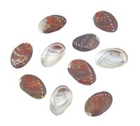 AHANDMAKER 10Pcs Large Abalone Shell, 2.1-2.3 Inch Natural Abalone Shell Smudge Bowls Iridescent Seashell Incense Holders for Smudge Sticks Home Decorations Art Crafts Trinkets Display