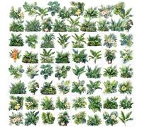 AHANDMAKER 12 Sheets Watercolor Floral Window Sticker, Monstera Deliciosa Rub on Transfer Stickers Home Decor Stickers for Christmas Day School Classroom Nursery Dresser Glass Porcelain, 5.5x5.5