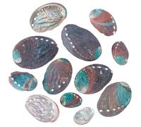 AHANDMAKER 12Pcs 6 Styles Natural Abalone Shells, 38~80mm Large Smudge Bowls for Holding Smudge Sticks Iridescent Seashell Shape Incense Burner for Home Decorations Art Crafts Trinkets Display
