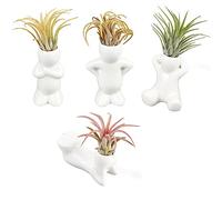 AHANDMAKER 4 Pcs Air Plant Holder Flower Pots, Small Ceramic Air Head Family People Planters, Table Top Display Vase for DIY Mini Plant Home Office Desk Window Decor Air Head Collector Birthday Gift