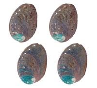 AHANDMAKER 4 PCS Large Abalone Shell 3.5 Inch Natural Abalone Shell Beautiful Smudge Bowl for Smudge Sticks, Furniture Decoration and Shell Art Crafts