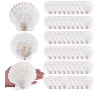AHANDMAKER 60Pcs Large Scallop Shells, 4-5 Inches Natural Sea Shells for Crafting White Hawaiian Seashells for DIY Crafts Making Beach Wedding Ocean Themed Party Home Decorations