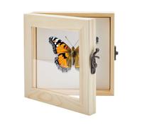 AHANDMAKER 6x6 Shadow Box Frame Durable Solid Wood Insect Specimen Display Case with Clear Acrylic Top for Home Decor Insect Taxidermy Collection Butterfly Organizer Gift