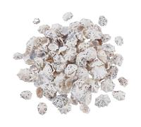 AHANDMAKER Star Limpets Sea Shells, 14 OZ Small Little Black and White Natural Seashells Beads Beach Crafts for Shell Craft Handmade Coastal Cottage Nautical Home Decor, 1/2 Inch - 1 Inch