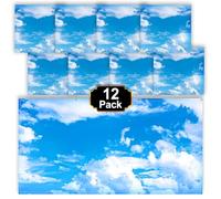 Aheroi Fluorescent Light Covers, 12Pcs 4 x 2 Feet Ceiling Light Covers Classroom, Magnetic Cover for Lights, Office Cloud Lights for Ceiling Decor Fixture Replacement Globes & Shades(Cloud Blue Sky)