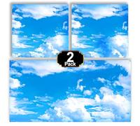 Aheroi Light Covers, 2 Pcs 4 x 2 Feet Fluorescent Light Covers, 10 Magnets Magnetic, Room School Office Decor (Cloud Blue Sky)