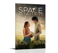 AHEUWAEBE The Space Between Us Poster Canvas Wall Art Aesthetic Cover Poster Modern Art Painting for Living Room 16x24inch(40x60cm) Frame-style