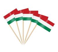 AhfuLife 200pcs Hungary Toothpick Flags, Hungary Cocktail Stick Flag for National Day Sandwich Food Cupcake Toppers Tableware World Cup Party Supplies Pub Royal Event Decor