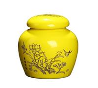 AHGFTYRDT Tea Canisters for Loose Tea Modern Painted Flowers Ceramic Tea Cans Mini Sealed Storage Jars Portable Travel Kitchen Food Containers