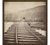 AHI - We Made It Through The Wreckage [VINYL]