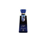 Ahmed Al Maghribi Chill Spectrum Eau de Parfum 100ml - Bergamot, Grapefruit & Jasmine with Coconut, Ambroxan, Sandalwood & Cashmeran Fresh Floral Woody Modern - Long Lasting EDP