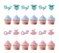 AHQiZFX Gender Reveal Cupcake Toppers, 12 Pcs Baby Shower Cupcake Toppers for Gender Reveal Themed Party Boy or Girl Theme Party Birthday Party Cupcake Toppers Supplies