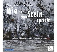 Ahrendt, Sabine/Susteck, Dominik - Wie man zum Stein spricht