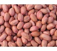 AHSD Raw Peanuts | Groundnut | moongfali (मूंगफली) (500 Grams)