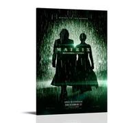 AHSEOIWRJH The Matrix Posters Vintage Printing Wall Art Poster Decorative Painting Aesthetic Canvas Decor for Living Room Bed Room 08x12inch(20x30cm) Frame-style