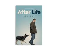 AHSUEWQRUH AFTER LIFE Poster Wall Art Canvas Poster Modern Aesthetic Art Decor Painting for Living Room Bed Room 20x30inch(50x75cm) Unframe-style