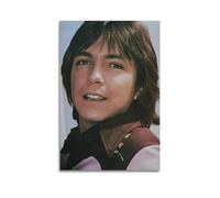 AHSUEWQRUH David Cassidy1 Poster Wall Art Canvas Poster Modern Aesthetic Art Decor Painting for Living Room Bed Room 12x18inch(30x45cm) Unframe-style