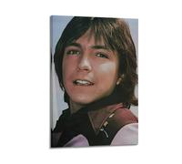 AHSUEWQRUH David Cassidy1 Poster Wall Art Canvas Poster Modern Aesthetic Art Decor Painting for Living Room Bed Room 24x36inch(60x90cm) Frame-style