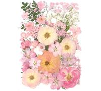 AHTONG 14 Kinds Pink Dried Pressed Flowers for Crafts, Herbarium for Resin Moulds, Jewelry Making, Floral Decorations (Peach Fuzz)