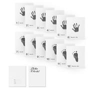 Ai Bei Parent Co. 14 Pieces Baby Inkless Milestone Cards,1 Month to 12 Month Hand and Footprint Kit,Dog or Cat Pet Paw Print Kit,Newborn Safe Inkless Pad,Hello World Newborn Sign Memory Kit(14 Ink