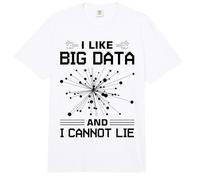 AI Data Scientist Deep Learning Date Engineer Comfort Colors Adult Heavyweight T-Shirt