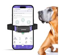 AI Health Monitor & GPS Tracker for Dogs | Track Heart Rate, Pain, Anxiety & Stress | Vet Backed, Near Real-Time Alerts & Monitoring | Subscription Required | PetPace Smart Collar 2.0 (Large)
