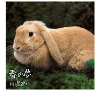 Ai Kawashima - Haru No Yume