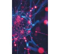 AI Prompt Engineering & Workflow Logbook: Track, Test, Refine and Organise Your AI Prompts, Workflows, Results and Productivity Systems
