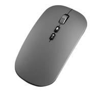AI Voice Mouse,120 Sprachen Echtzeitübersetzer mit Spracheingabe 400 Wörter Pro Minute für Laptop Desktop Tablet,Silent Klick,Kabelgebundenes Bluetooth 2,4 G ，B
