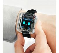 AI Voice Watch, Development Board, Screen Display, Intelligent Speech