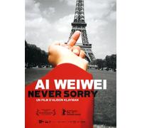 Ai weiwei : never sorry - DVD