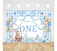 AIBIIN 7x5ft Bunny Birthday Decorations Backdrop Some Bunny is One Decorations Banner Spring Easter Birthday Backdrop Blue Bunnys Easter Party Decorations Banner Photo Props