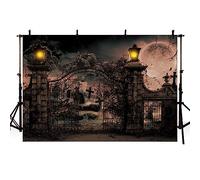 AIBIIN 8x6ft Halloween Photography Background Scary Graveyard Spooky Terror Desolate Cemetery Gate Grim Rusty Iron Door All Saints' Day Full Moon Family Holiday Party Photo Backdrop Props
