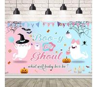 AIBIIN AIBIIN Halloween Gender Reveal Decorations - Booy or Ghoul Banner Backdrop, Blue and Pink Gender Reveal Decorations, Ghost Balloons for Baby Shower 70.8x43.3 inch