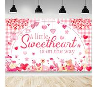 AIBIIN Little Sweetheart Baby Shower Backdrop Decorations A Little Sweetheart is on The Way Baby Shower Banner Sweet Heart Valentines Day Party Decorations Banner Photo Booth Props 70.8x43.3 inch
