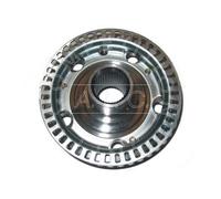AIC 51744 Wheel Hub for AUDI,SEAT,SKODA,VW