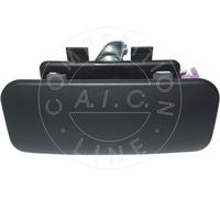 AIC 55803 Door Handle
