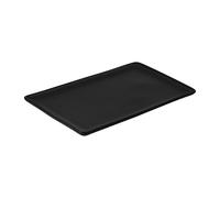 Aida Raw plate 31.5x20 cm Titanium black