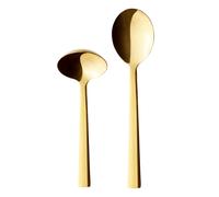 Aida Raw serving spoon 2 pieces gold
