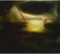 Aidan Baker - I Wish Too, To Be Absorbed