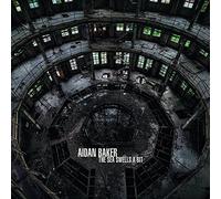 Aidan Baker - The Sea Swells A Bit [VINYL]