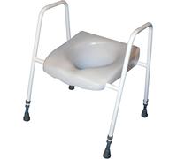 President Raised Toilet Seat and Frame Aidapt White One Size