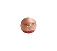 Aidenn Gold Silver Septum Ring with Cubic Zirconia 16G Nose Hoop Clicker for Women Dainty Cartilage Helix & Nose Piercing Jewellery