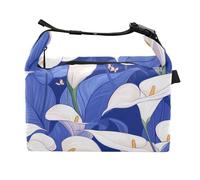 aidingzhi Kids Lunch Tote with Zipper Lady Crossbody Lunch Bag for School Kindergarten