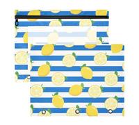 aidingzhi pencil pouches With Zipper 3 Hole Punch for 3 Rings Binder 2 Pack Students Class Blue White Striped Fruit Lemon