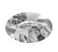 aidingzhi The Empire State Building Cat Selfie Pet Cat Beds Relieve Stress Dog Cave Bed for Extra Small Size Pets Supplies S