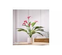 AIDNI Artificial Calla Lily Arrangement, Red Flowers with Green Leaves, White Ceramic Vase