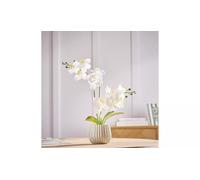 AIDNI Artificial White Orchid Arrangement with Ceramic Pot, Realistic Phalaenopsis Flowers, Cream Ribbed Vase